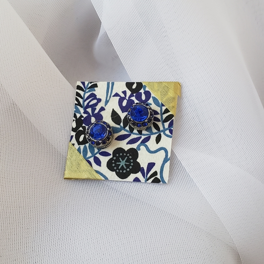 🌺🌻🍁❄5/$24 Sapphire colored stud earrings